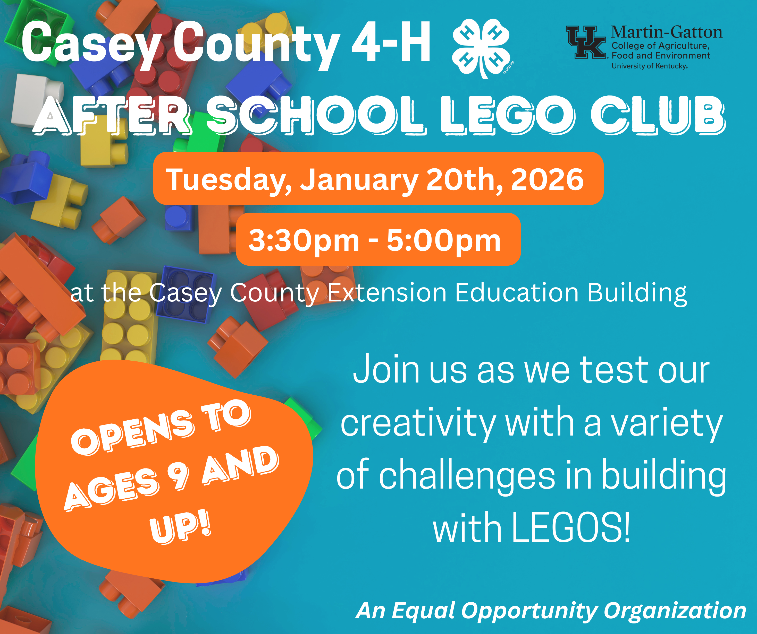 4-H & Legos